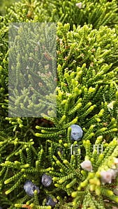信用卡逾期 各银行贷款 信用卡逾期 各银行贷款